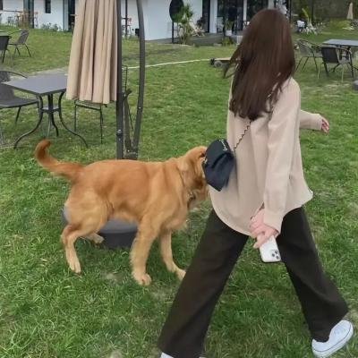 赵丽颖